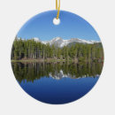 Suche nach malerische ornamente See