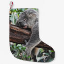 Suche nach koala weihnachts strümpfe Bär