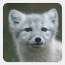 Recherche de habitat autocollants Animal