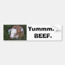 Suche nach rindfleisch autoaufkleber Vieh