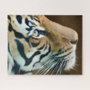 Recherche de chat sauvage puzzles Prédateur