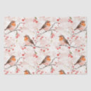 Recherche de oiseau mignon Hiver