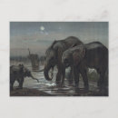 Suche nach antiker elefant postkarten Tiere