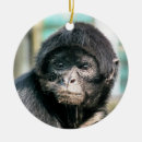 Recherche de singe ronds ornements Sauvage