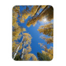 Recherche de arbre paix magnets Arbres