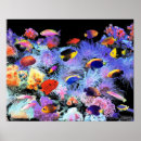 Suche nach tropical fish poster Marine