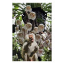 Recherche de copie de nature Fleur