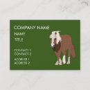 Recherche de cavalier de cheval cartes visite Animal