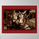 Suche nach maultier poster Fotografie