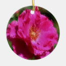 Recherche de peinture de fleur ornements Fleurs