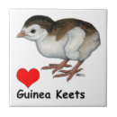 Suche nach guinea fliesen Vogelvogel
