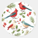 Suche nach weihnachtsvögel aufkleber Rot