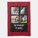 Suche nach katzen liebe geschirr tücher Kätzchen