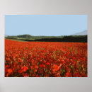 Suche nach mohnblume poster Rot