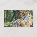 Recherche de peinture de chat cartes visite Aquarelle