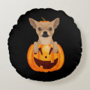 Suche nach chihuahua kissen Festlich