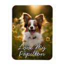 Suche nach papillon hund wohnen zuhause Hundefreund