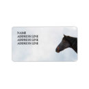 Suche nach pony rücksende aufkleber Western