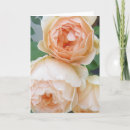 Recherche de rosas vœux cartes Fleurs