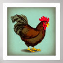 Suche nach rooster poster Bauernhof