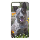 Recherche de alerte électronique Chien