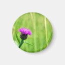 Recherche de flore refrigérateur magnets Violet