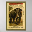 Suche nach indischer elefant poster Vintag