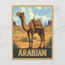 Recherche de chameau arabe cartes postales Moyen orient
