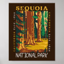 Suche nach retro california poster Nationalpark sequoia