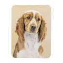 Suche nach springen magnete Hund