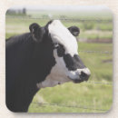 Suche nach betrachten der kamera untersetzer Landwirtschaft