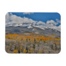 Recherche de tremble magnets Forêt