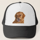 Recherche de golden retriever casquettes Amoureux des chiens