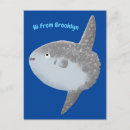 Recherche de oiseau mer cartes postales Poisson