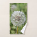 Suche nach löwenzahn blume Weiß