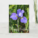 Suche nach iris blumen karten Lila