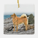 Recherche de spitz ornements Rouge
