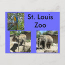 Suche nach zoo tiere postkarten Elefanten