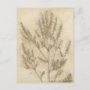 Recherche de doré cartes postales Feuille