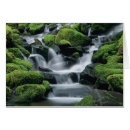 Recherche de flore tropicale de forêt tropicale cartes postales Vert