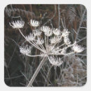 Suche nach frost aufkleber Winter