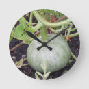 Recherche de vignes horloges Jardin