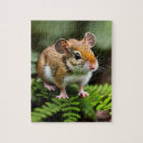 Recherche de souris puzzles Faune