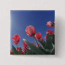 Suche nach rote tulpe buttons Usa