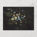 Recherche de fougères cartes postales Nature