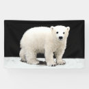 Suche nach polarer banner Tragen