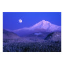 Suche nach monsun poster Landschaft