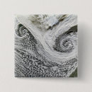 Suche nach schwarze spinne buttons Spinnen