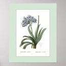Recherche de bordures posters Coutume