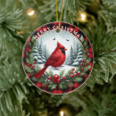 Suche nach kardinal ornamente Wintervogel